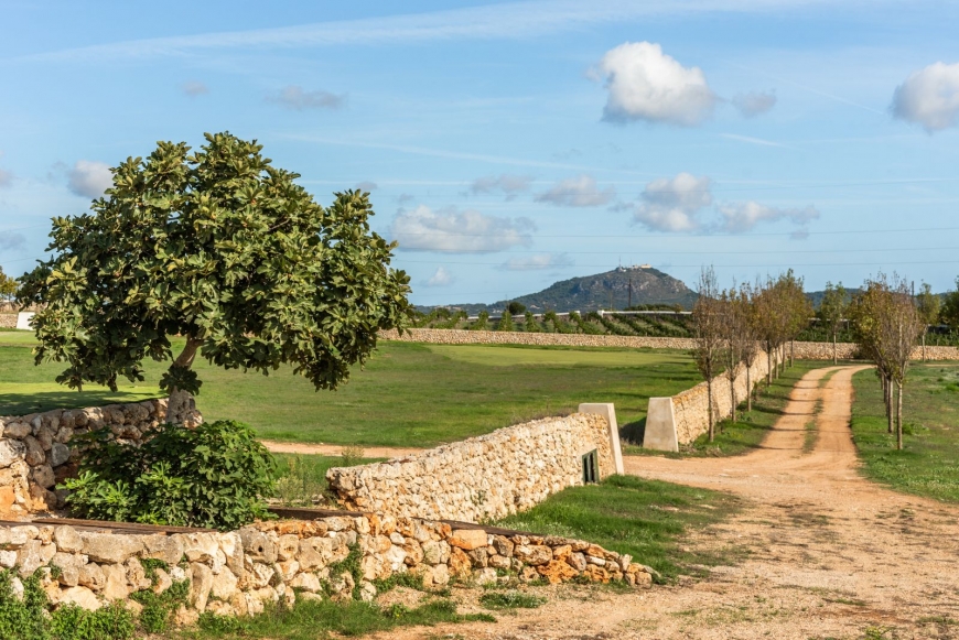 Desconexión y tranquilidad en plena naturaleza ¿Está planeando una escapada rural?